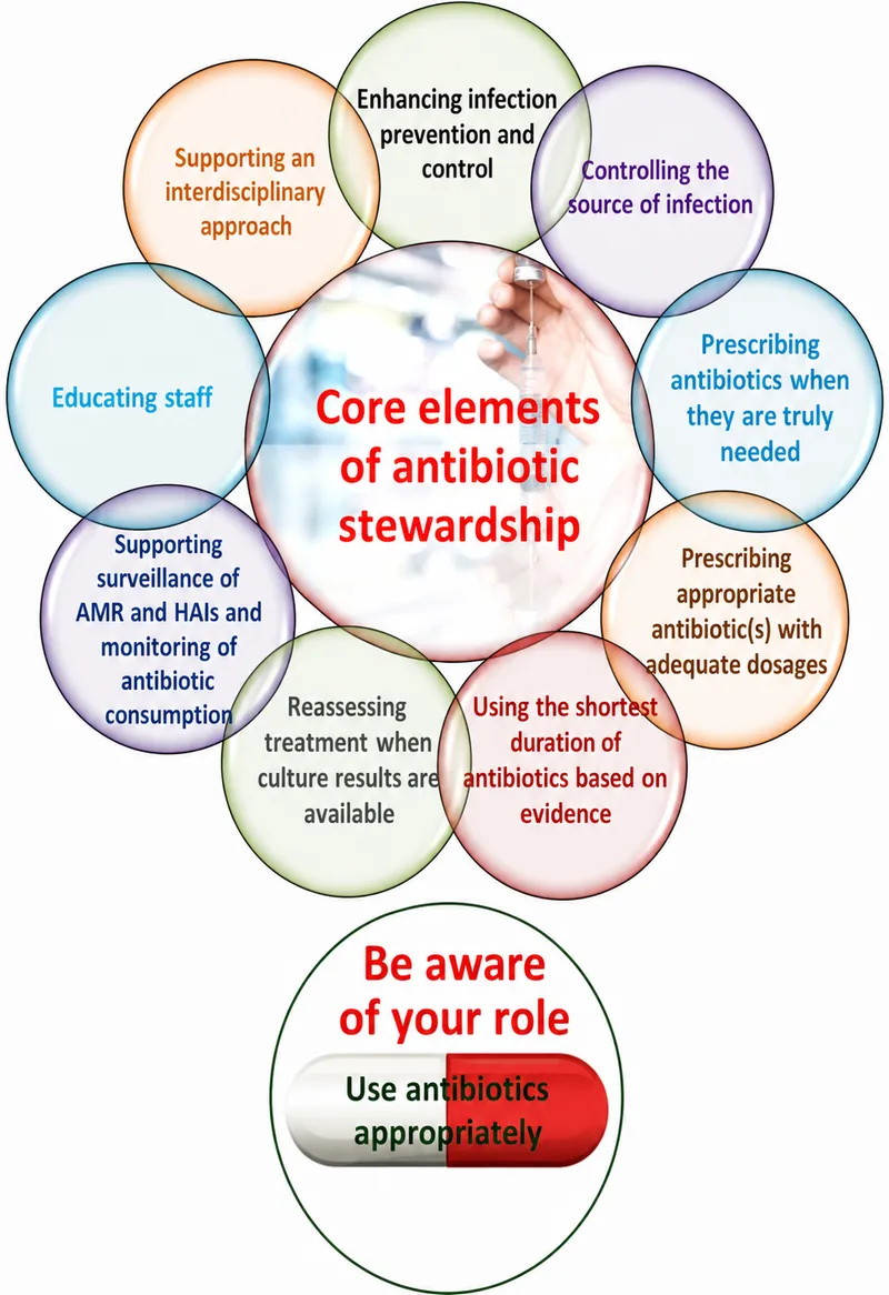 Core elements of antibiotic stewardship diagram