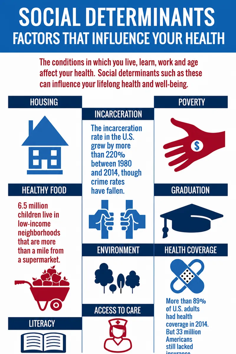 Social Determinants of Health Infographic