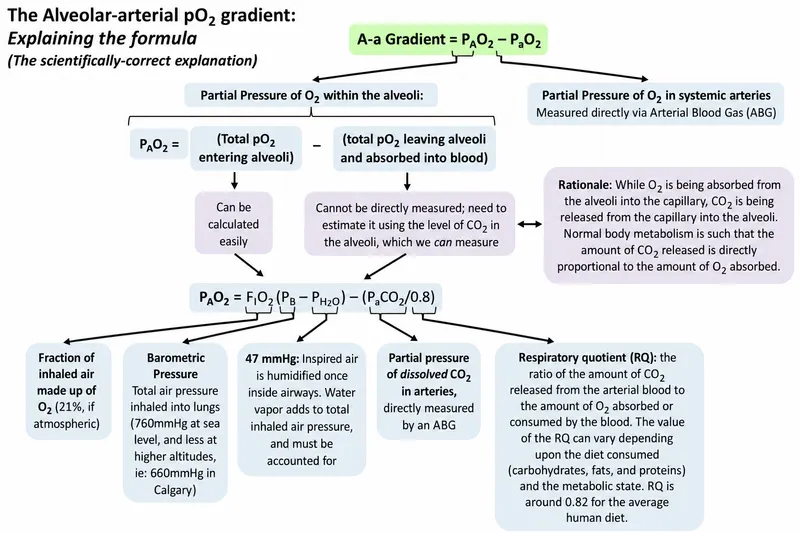 Alveolar-arterial pO2 gradient formula