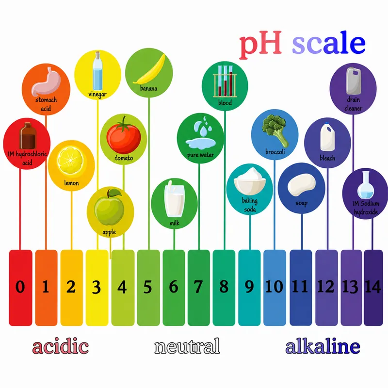 pH scale with common substances and blood pH highlighted