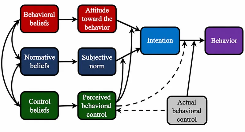 Theory of planned behavior model showing attitudes, subjective norms, and perceived control influencing intention