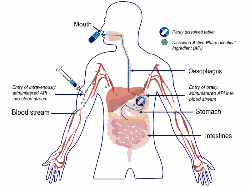 Oral vs IV bioavailability and first-pass metabolism