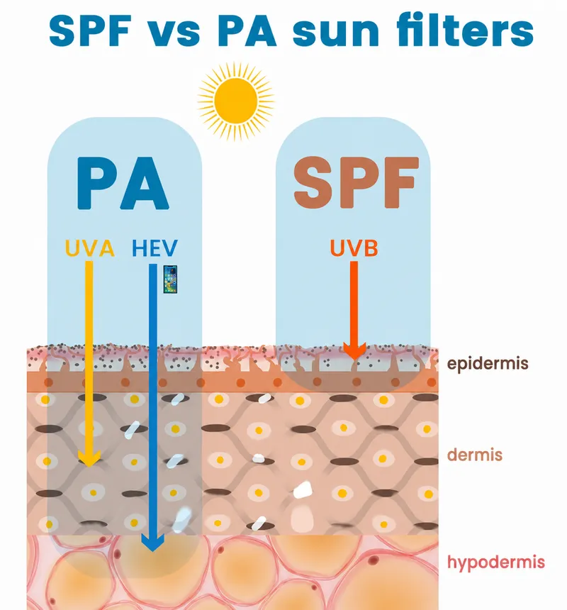 SPF vs PA Sun Filters: UVA, HEV, and UVB Penetration